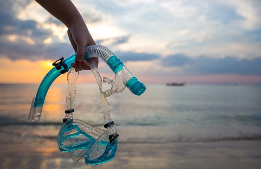 Blue Heron Bridge Snorkel Planner